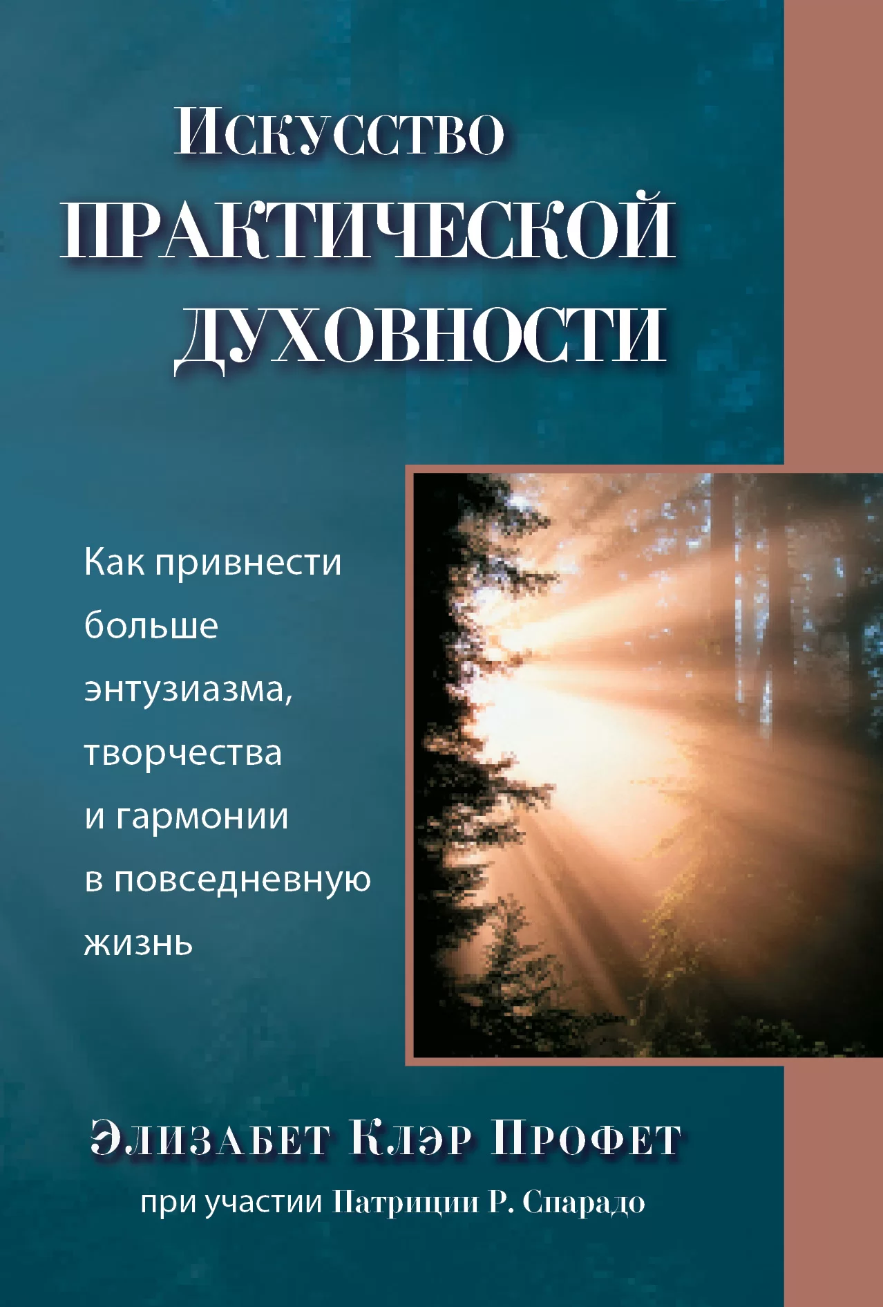 Искусство практической духовности. Как привнести больше энтузиазма, творчества и гармонии в повседневную жизнь